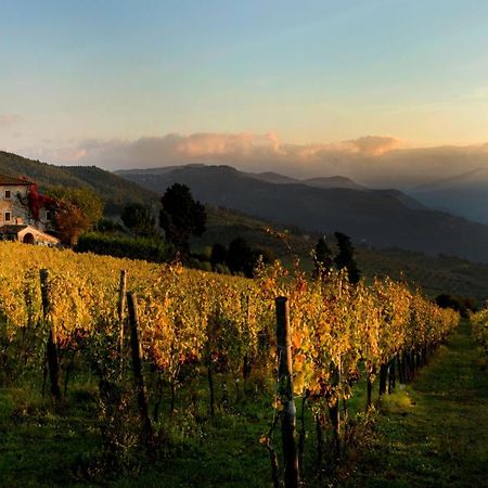 Agriturismo Fattoria Lavacchio Pontassieve Bagian luar foto