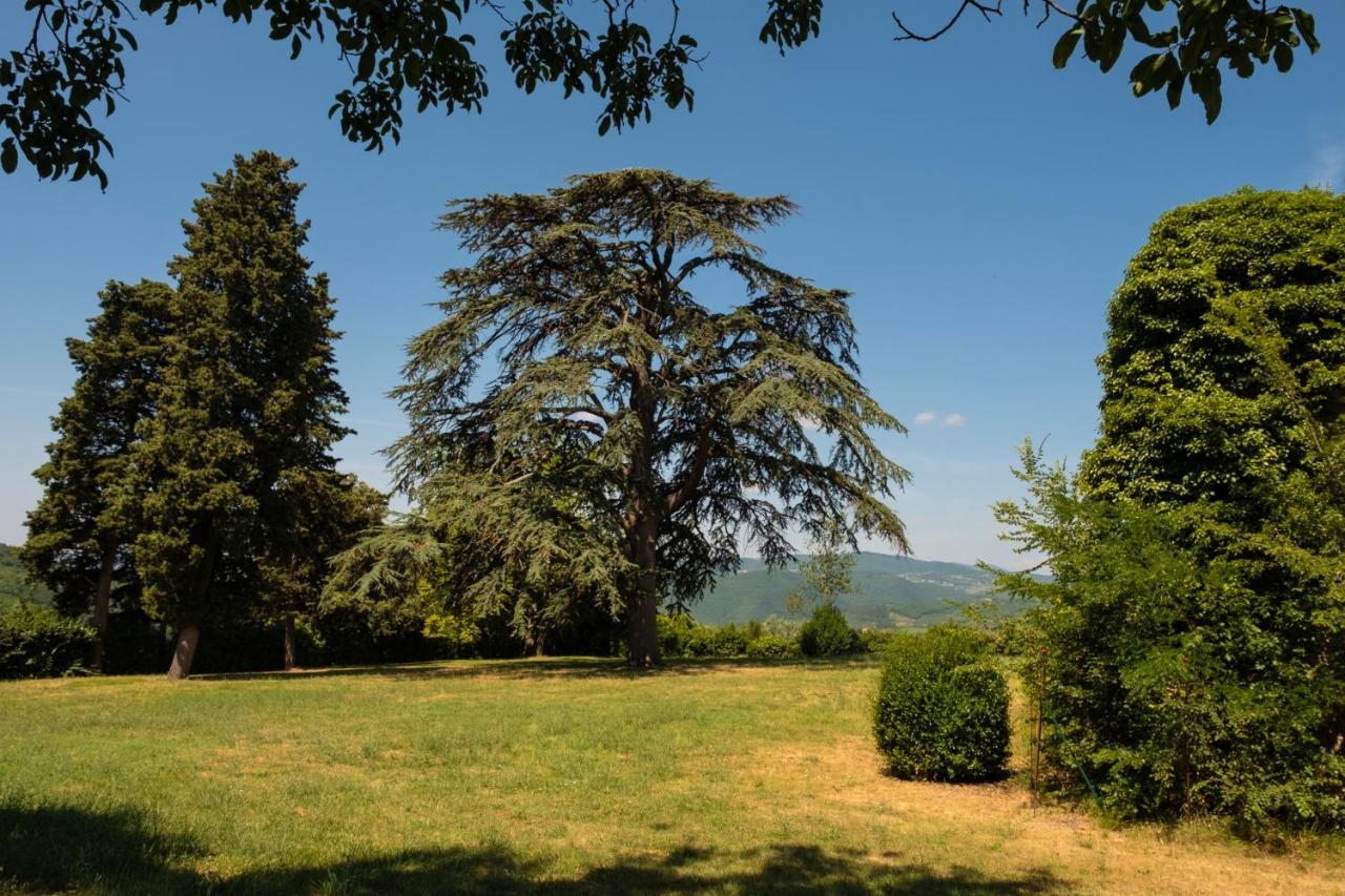 Agriturismo Fattoria Lavacchio Pontassieve Bagian luar foto