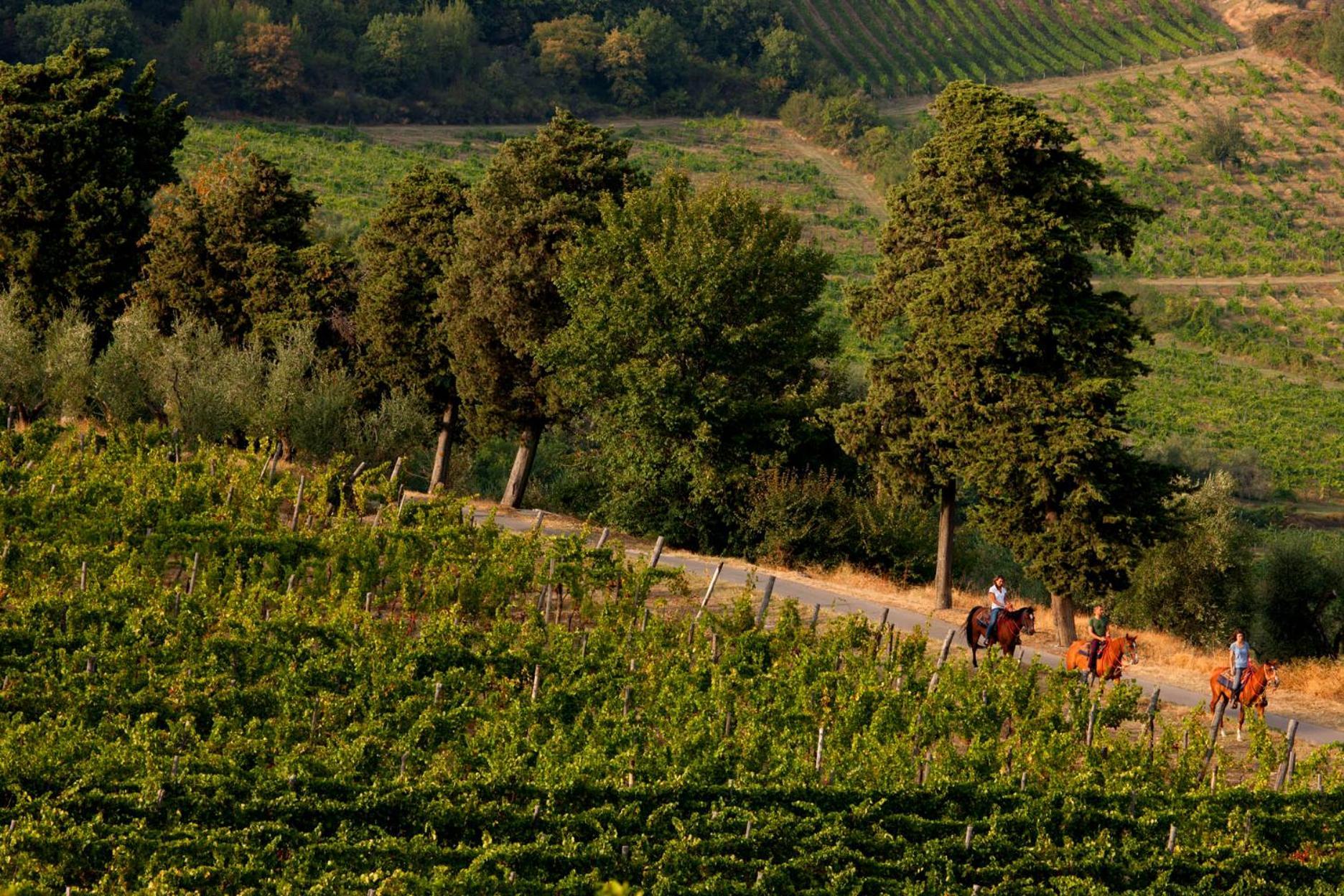 Agriturismo Fattoria Lavacchio Pontassieve Bagian luar foto