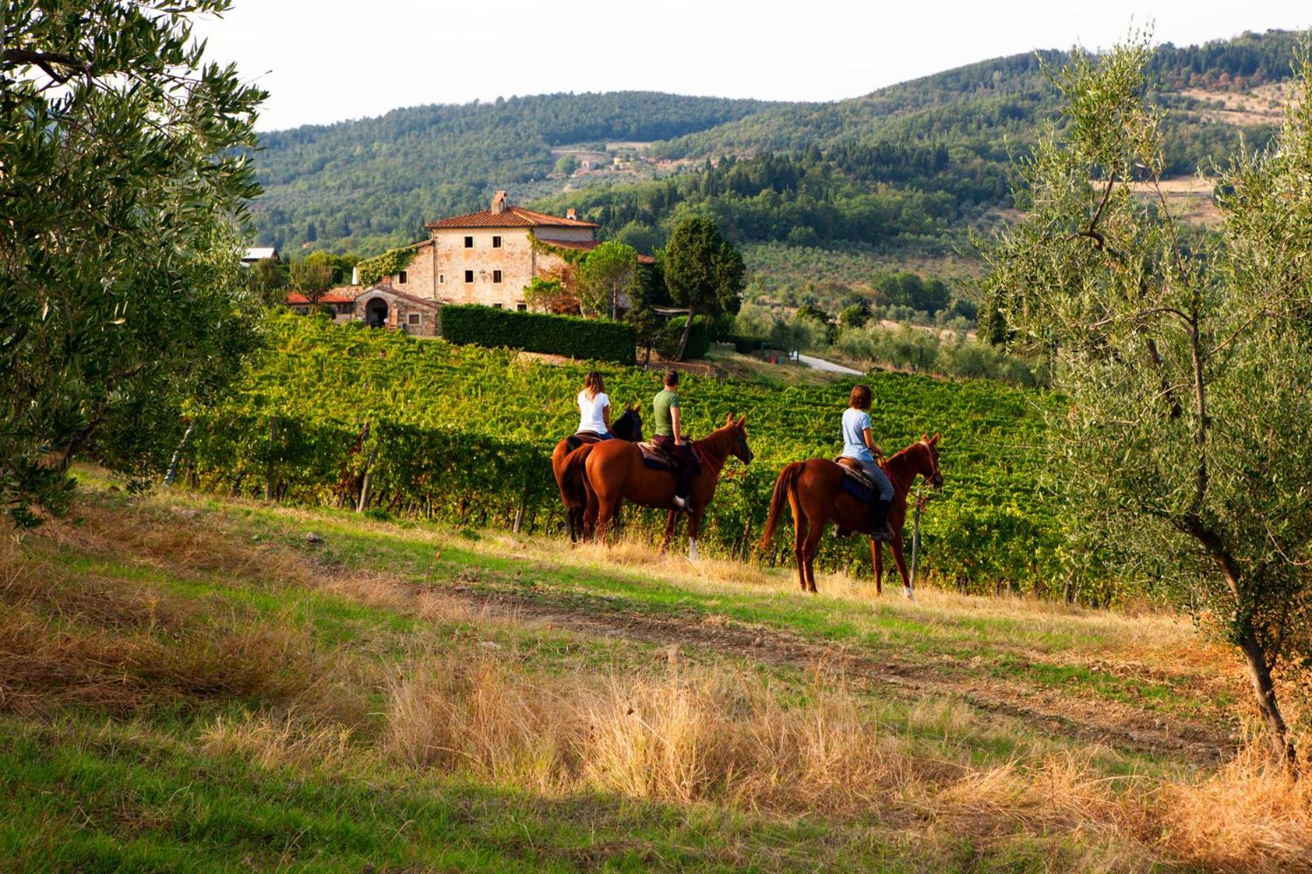 Agriturismo Fattoria Lavacchio Pontassieve Bagian luar foto