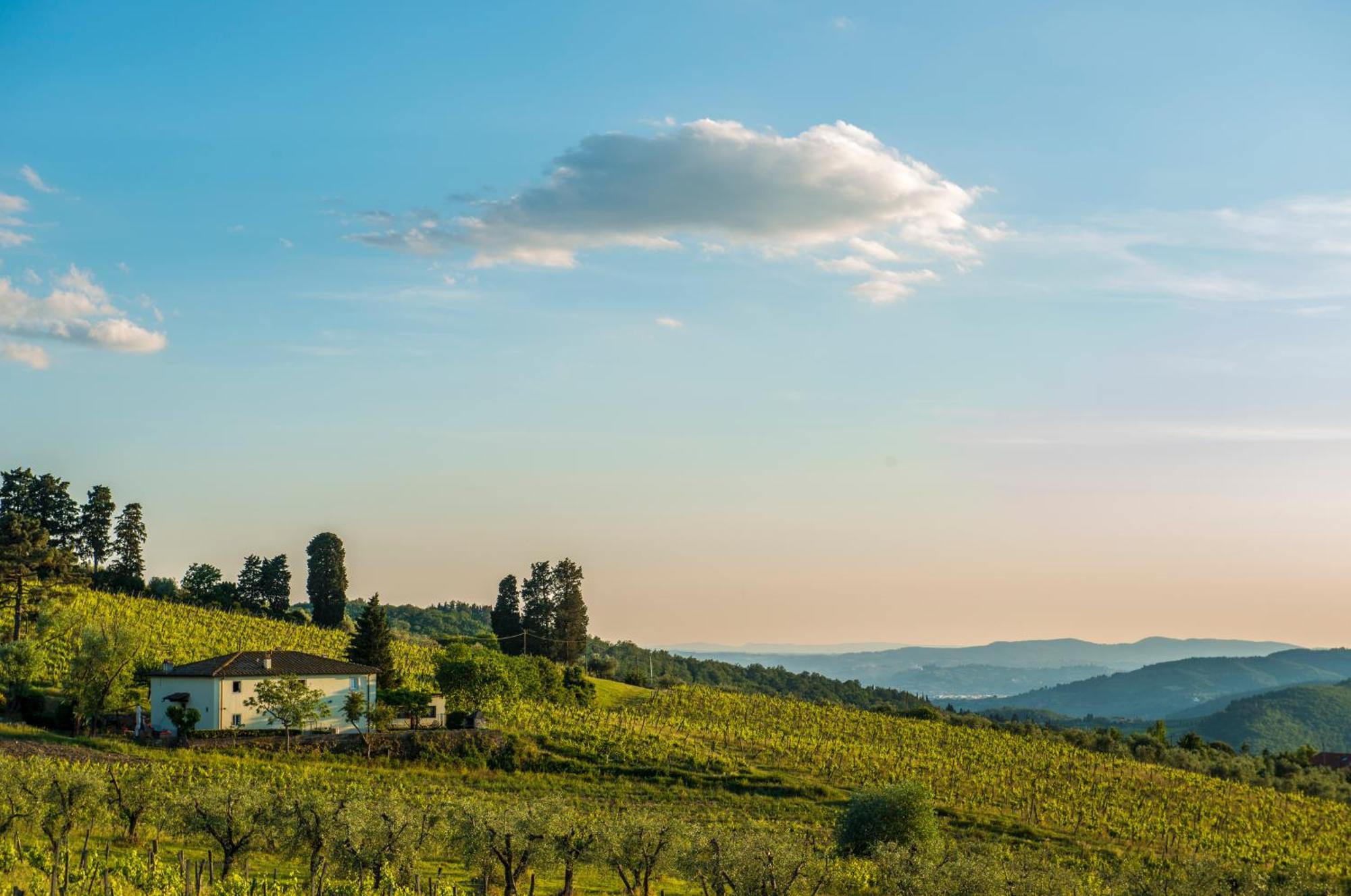 Agriturismo Fattoria Lavacchio Pontassieve Ruang foto